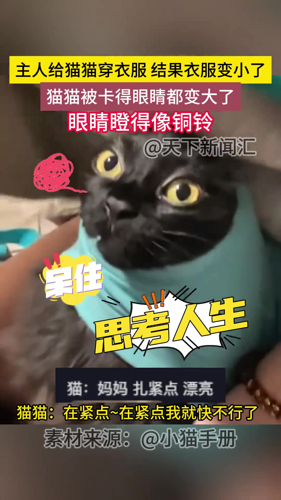 猫:麻麻 我的脑瓜子 有点紧