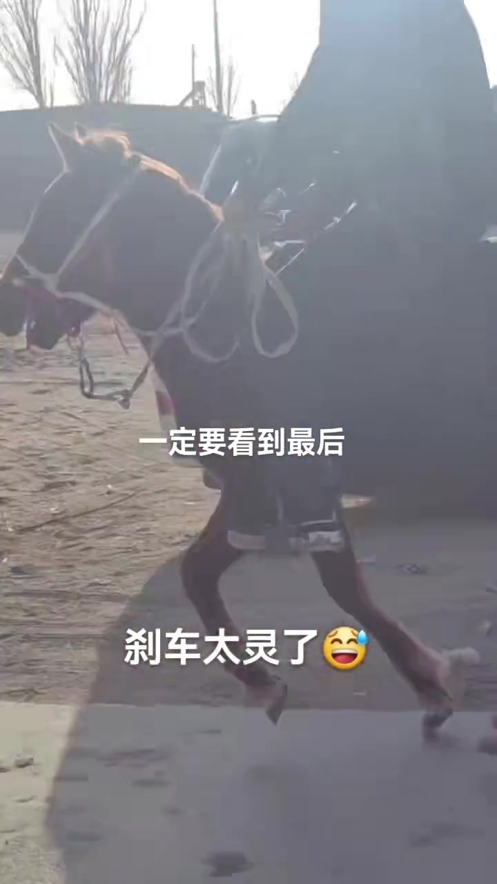这就是传说中的马刹拉地？