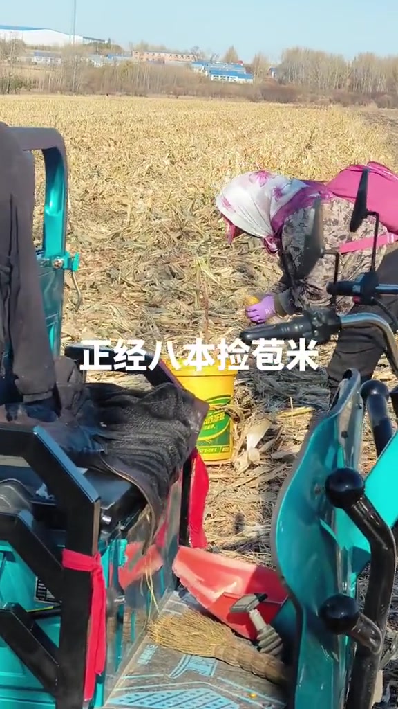 这才是正儿八经的捡！