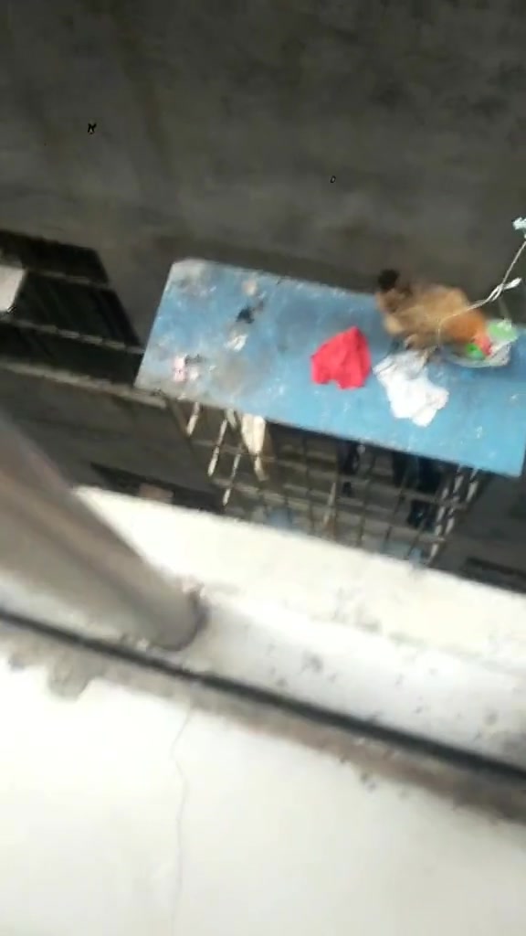这鸡不能钓，不然晚上还得搭一箱啤酒进去