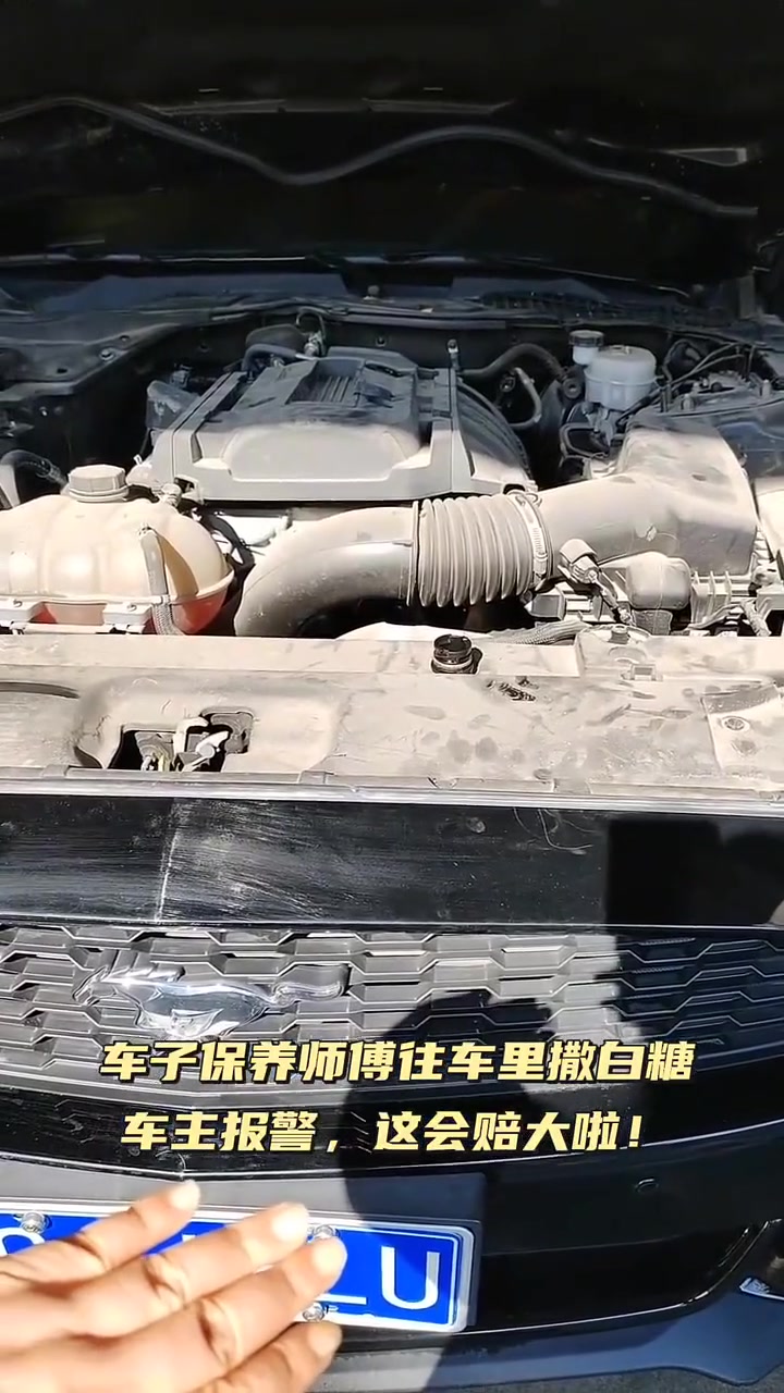 太缺德了，往发动机里放白糖！