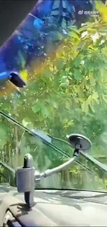 蜜蜂：随机给一位路人发红包
