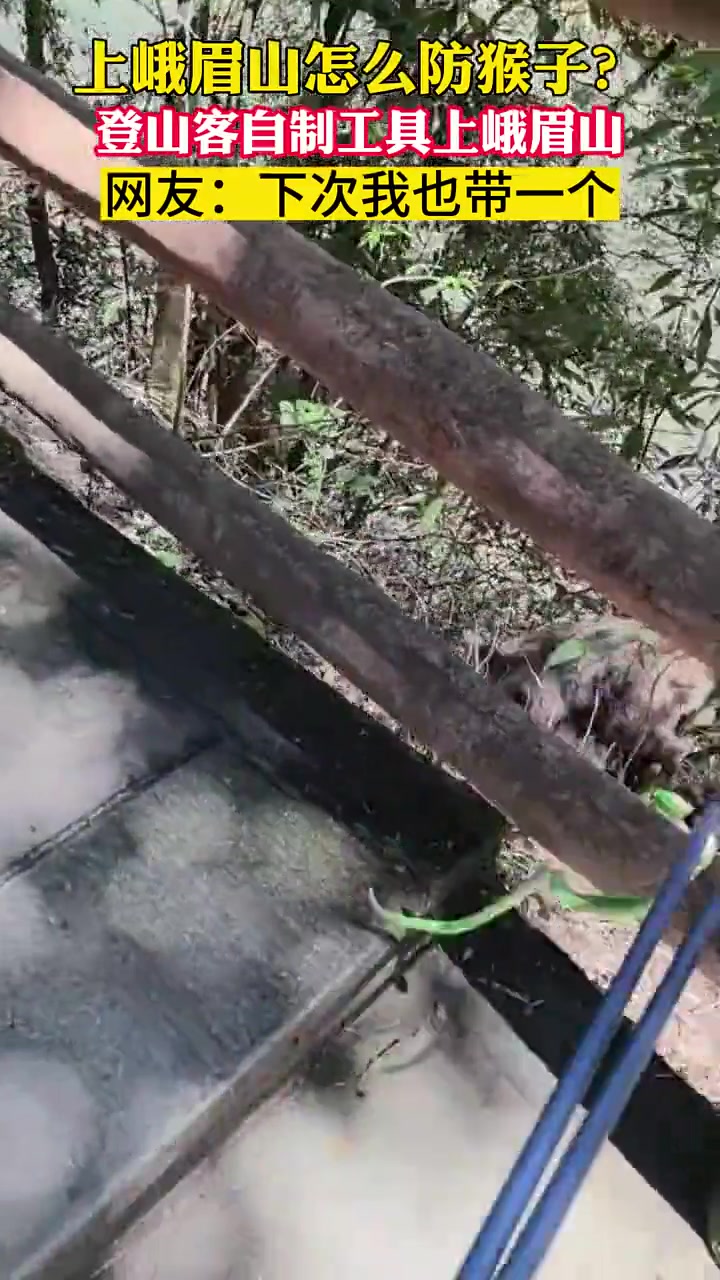 还是竹叶青管用