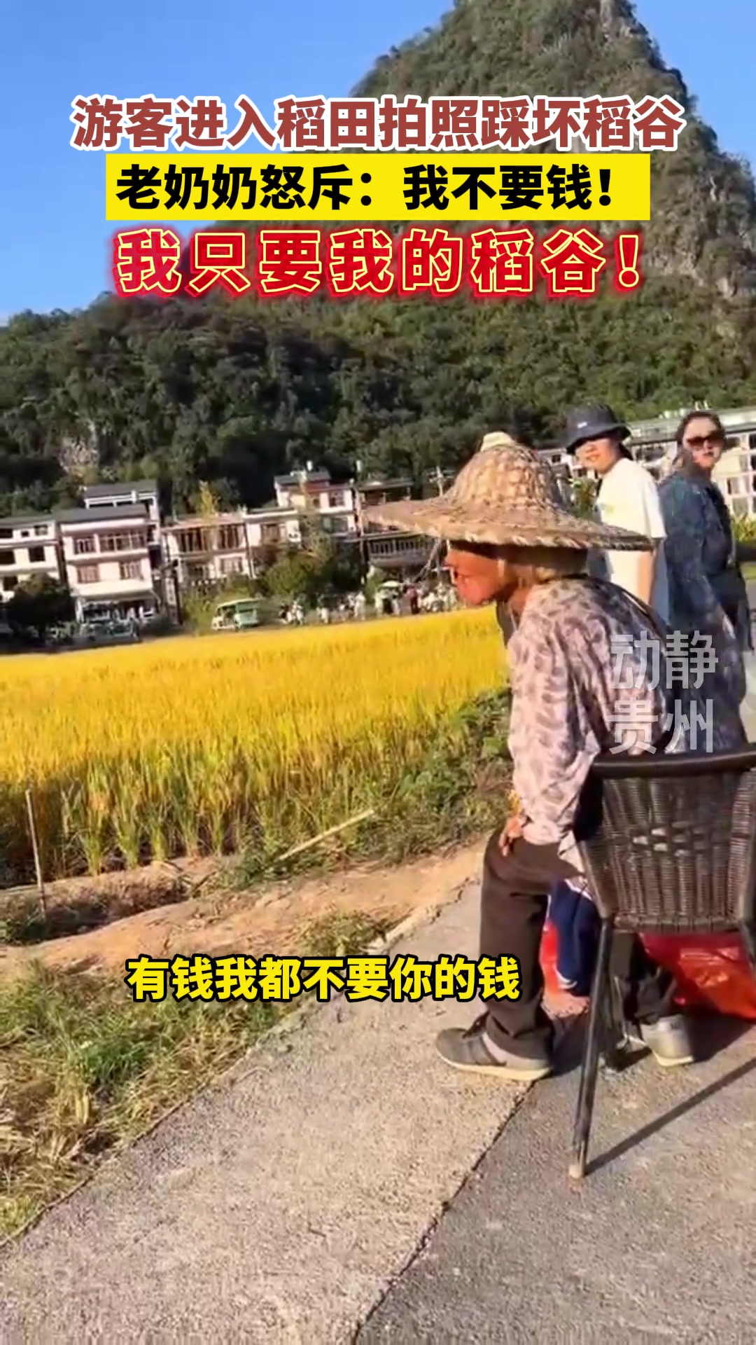 游客进入稻田踩坏稻谷 老奶奶怒斥：我不要你的钱