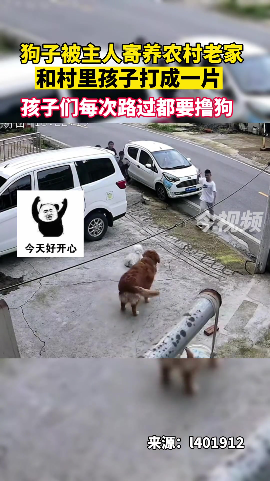 狗子：撸就撸了，为啥要给我跪下呢