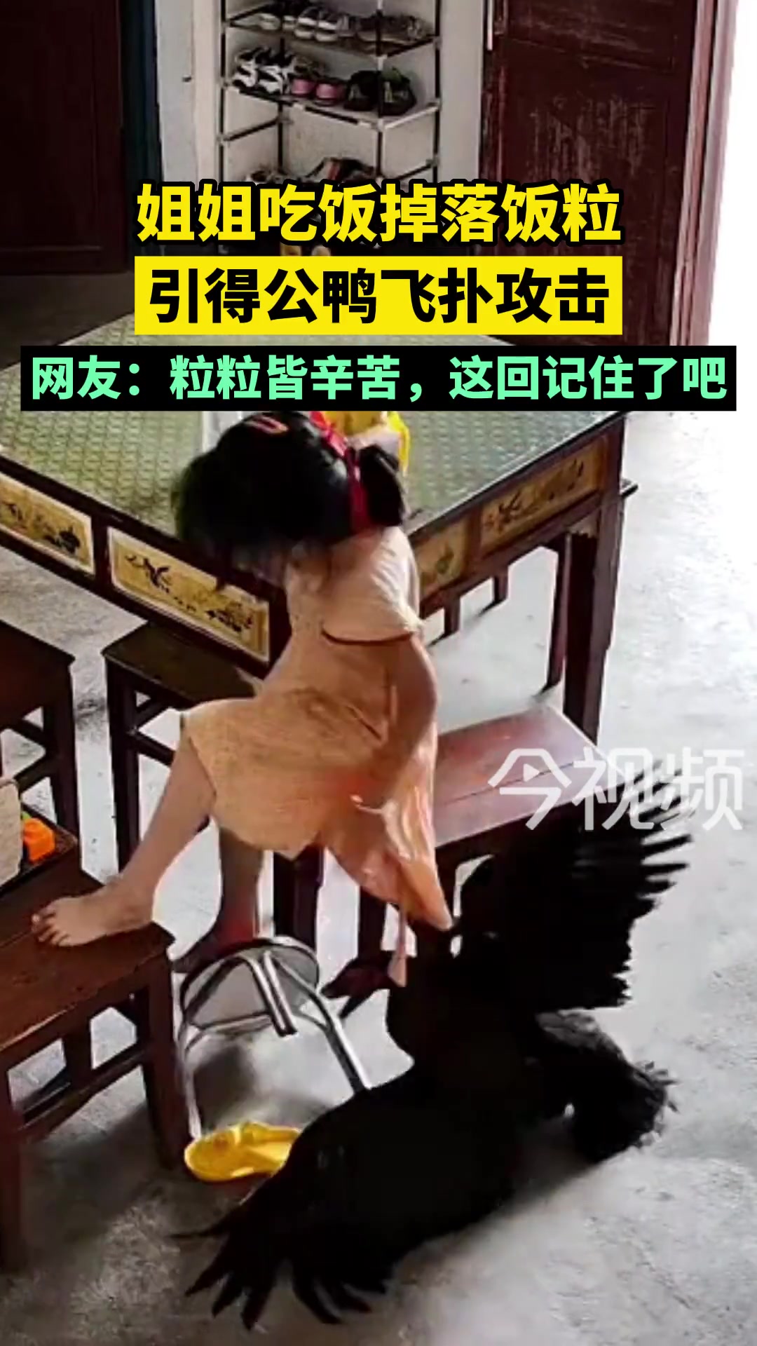 看来鸭兄想给小女孩补身体了