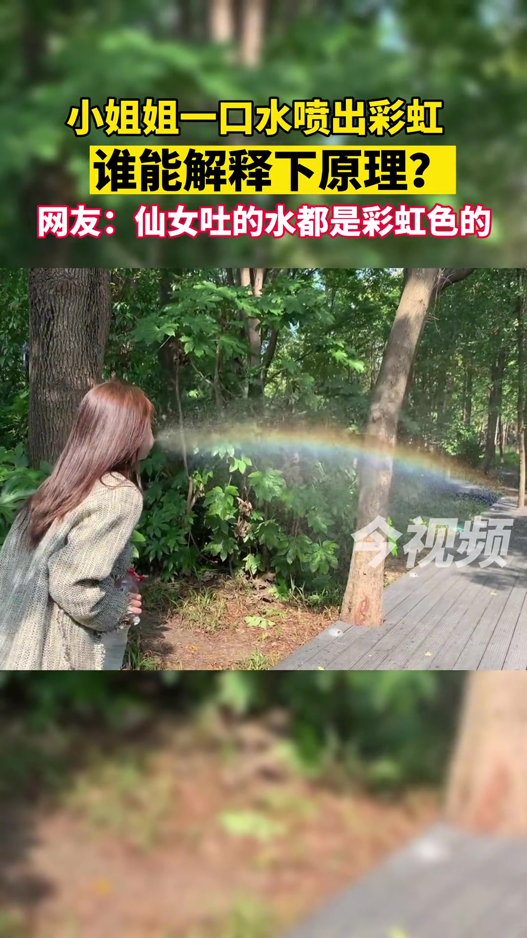 这难道不是换谁来都有彩虹嘛？