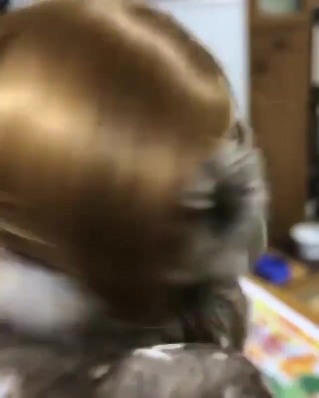 回眸一笑百媚生