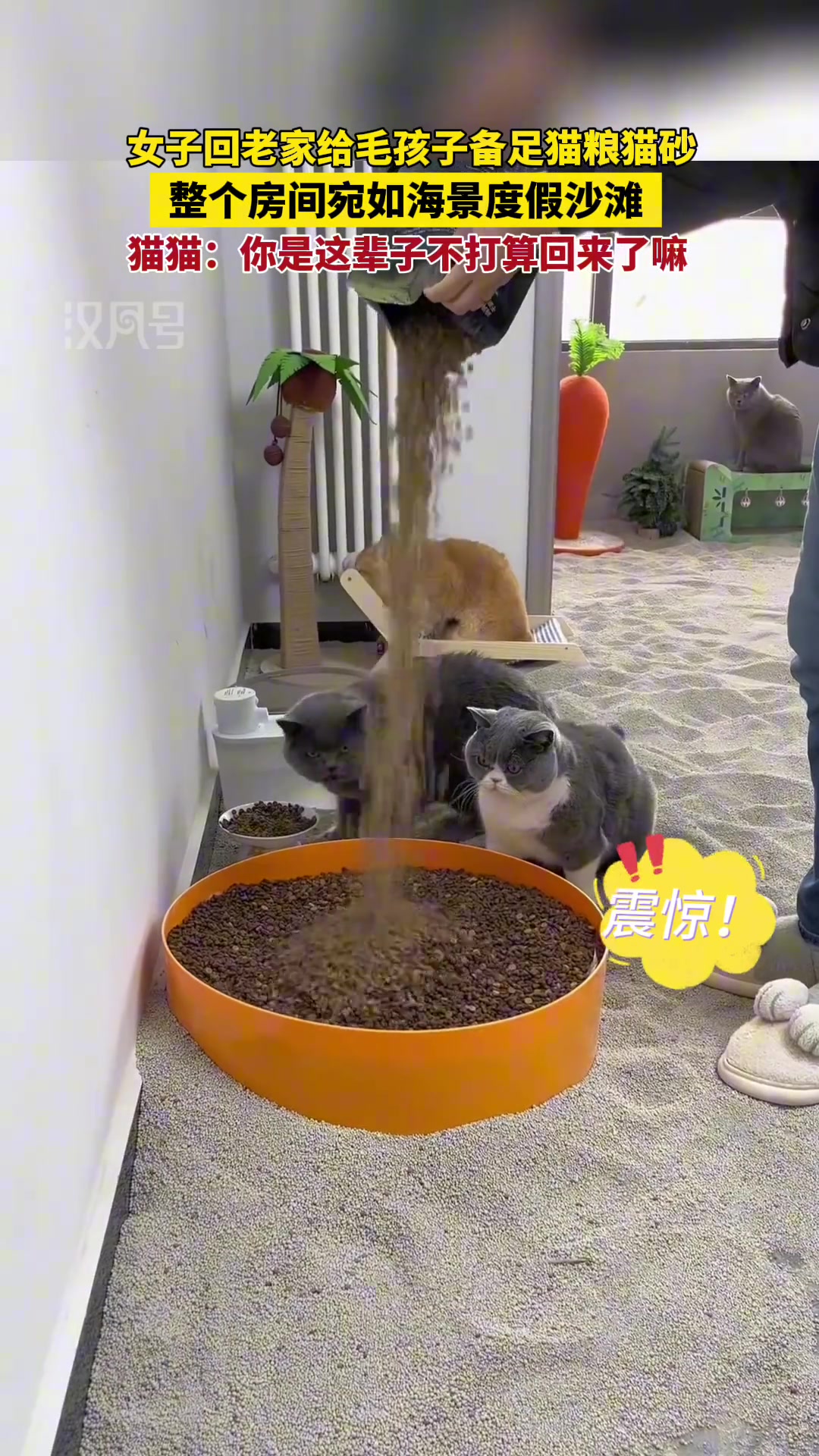太浪费！这不把整个家变成厕所了吗?