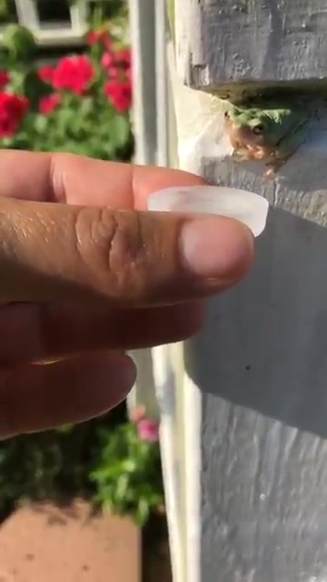 冷知识：青蛙是通过皮肤喝水的
