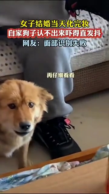 它以为你夺舍了，声音对，人不对