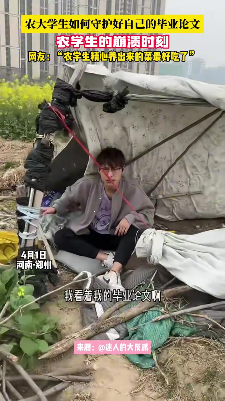 真的羡慕他的菜花！