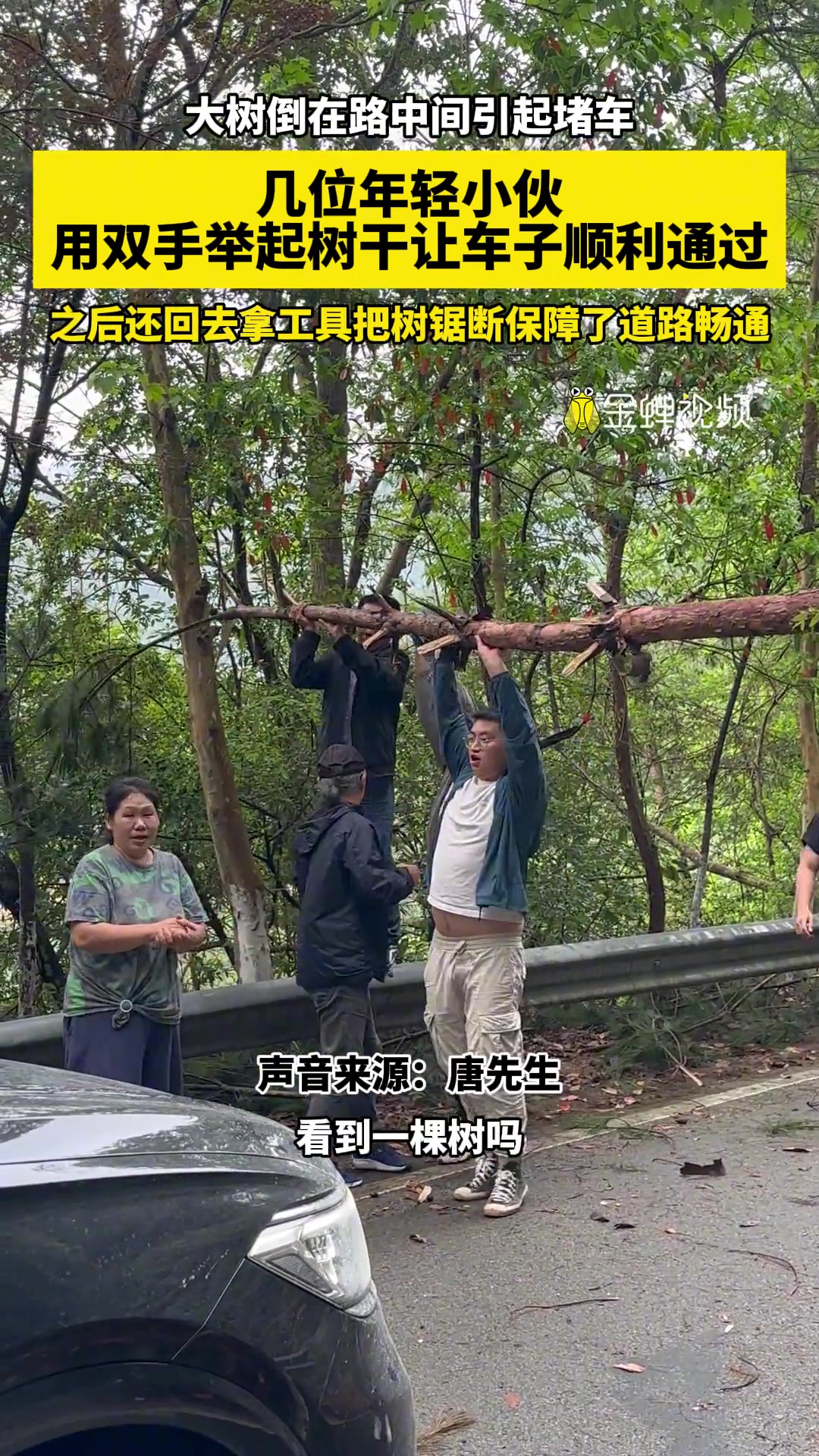大树倒在路中间引起堵车，几位年轻小伙这样做！