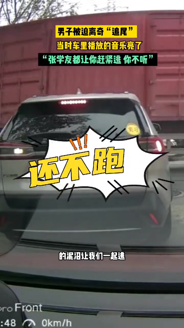 张学友都让你逃了，你还不听