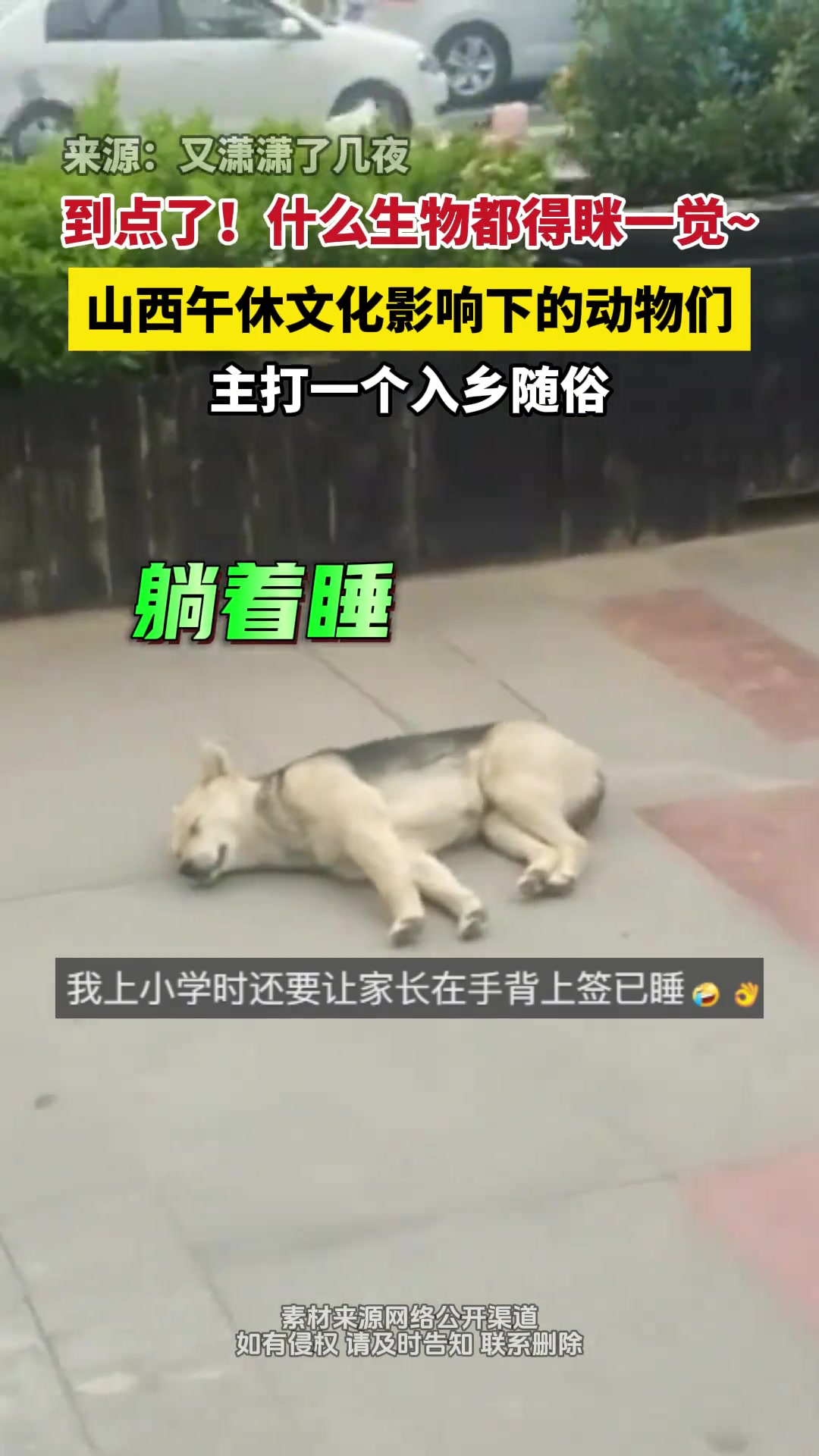 “哈哈哈哈谁说的山西空气里有蒙汗药！”