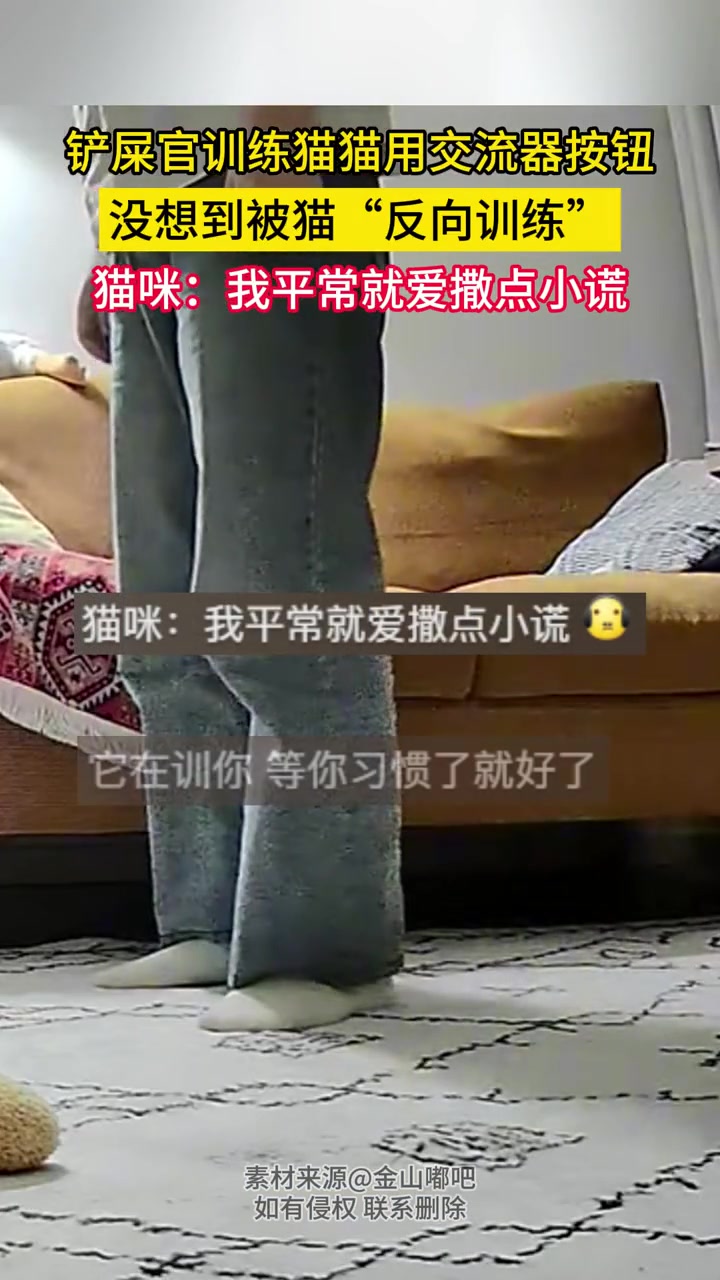 铲屎官训练猫猫用交流器按钮，没想到被猫反向训练