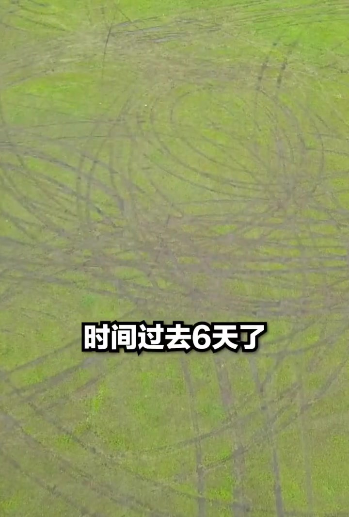 这种没素质的所谓“越野”玩家，就是在丢人！