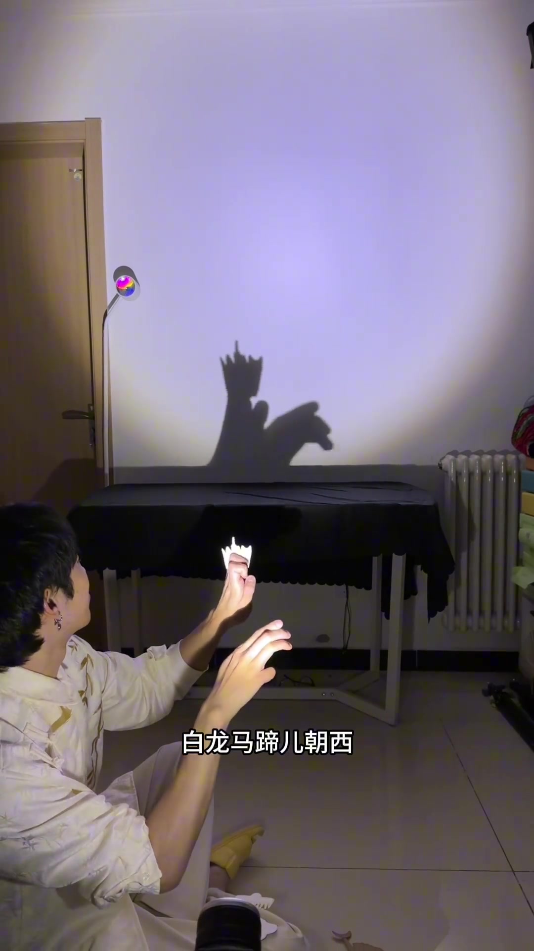 我和师徒四人一起取经 白龙马 西游记 手影 ！