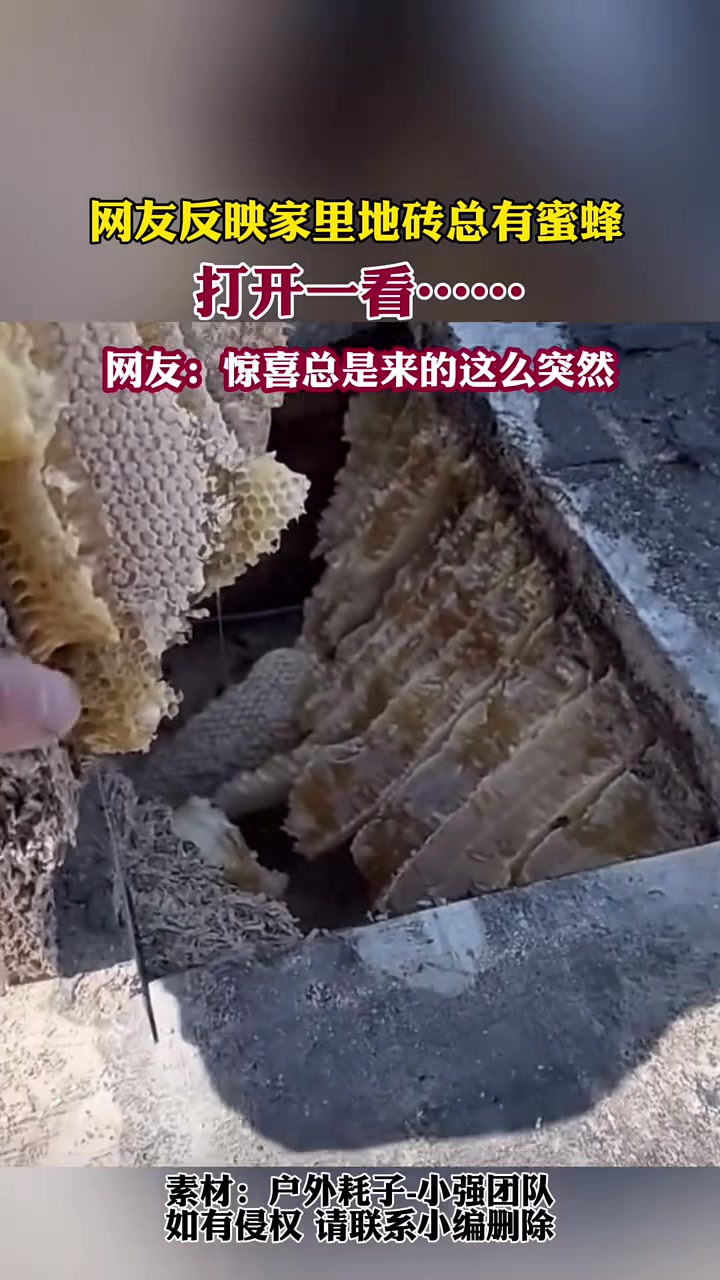 这玩意不干净，我肠胃好，拿过来我吃
