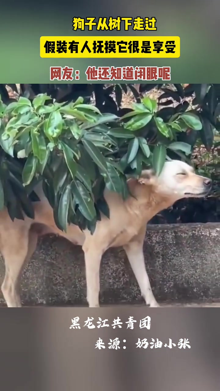 他还知道闭眼呢