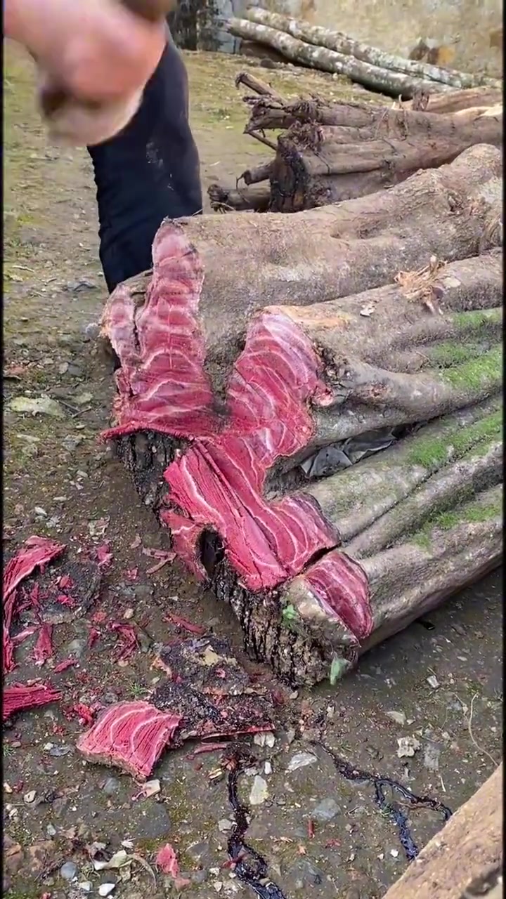 这肉看着有点柴呀！