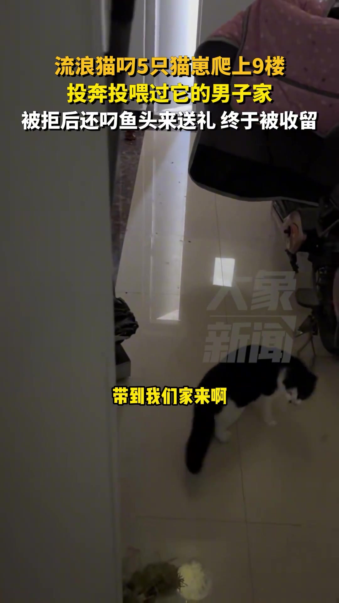 猫都知道要想办成事，得先送礼！