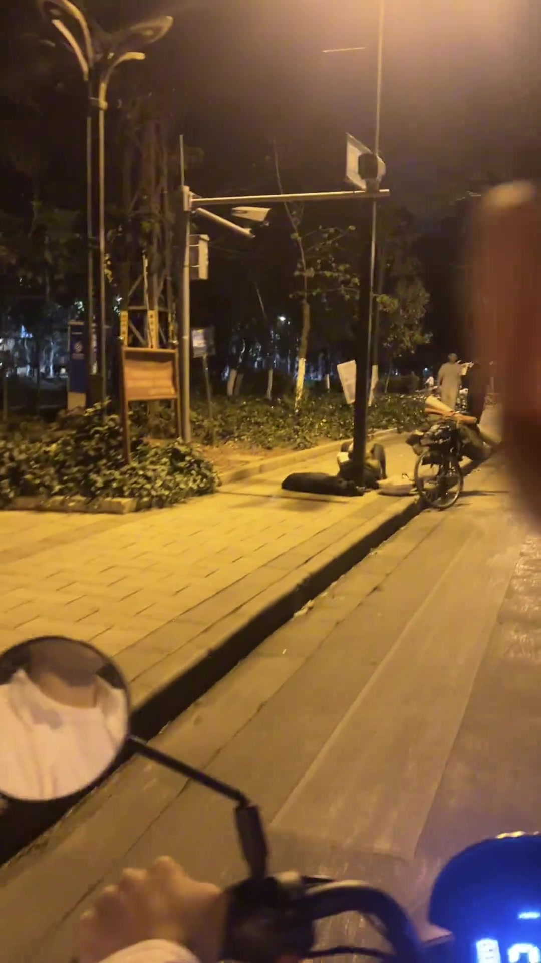 他一生的行李只有两件，便是书籍和家犬。