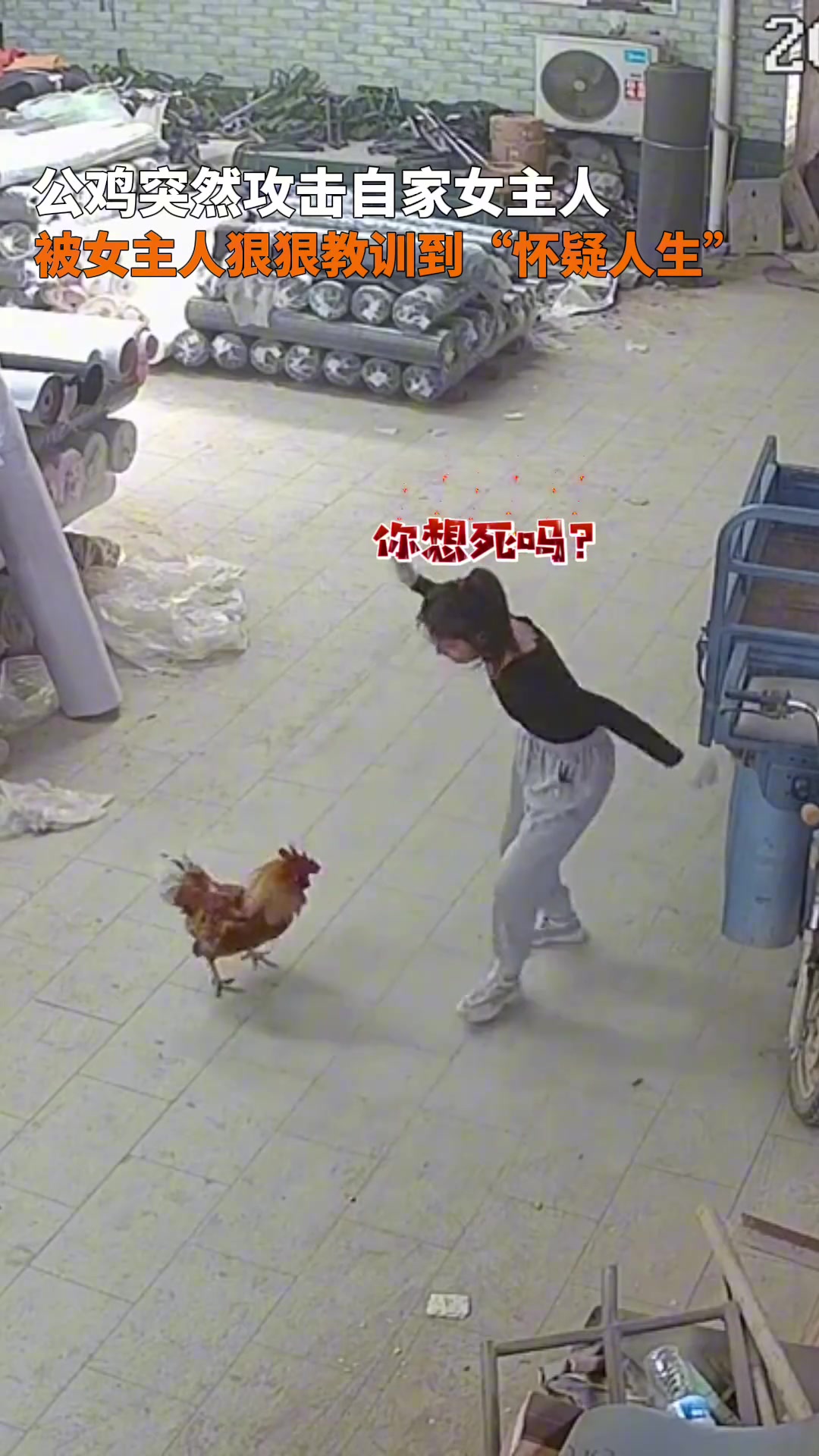 鸡哥你惹错人了！