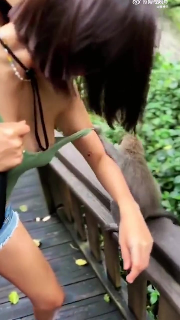 猴子是想扯掉小姐姐的肩带吗？？？