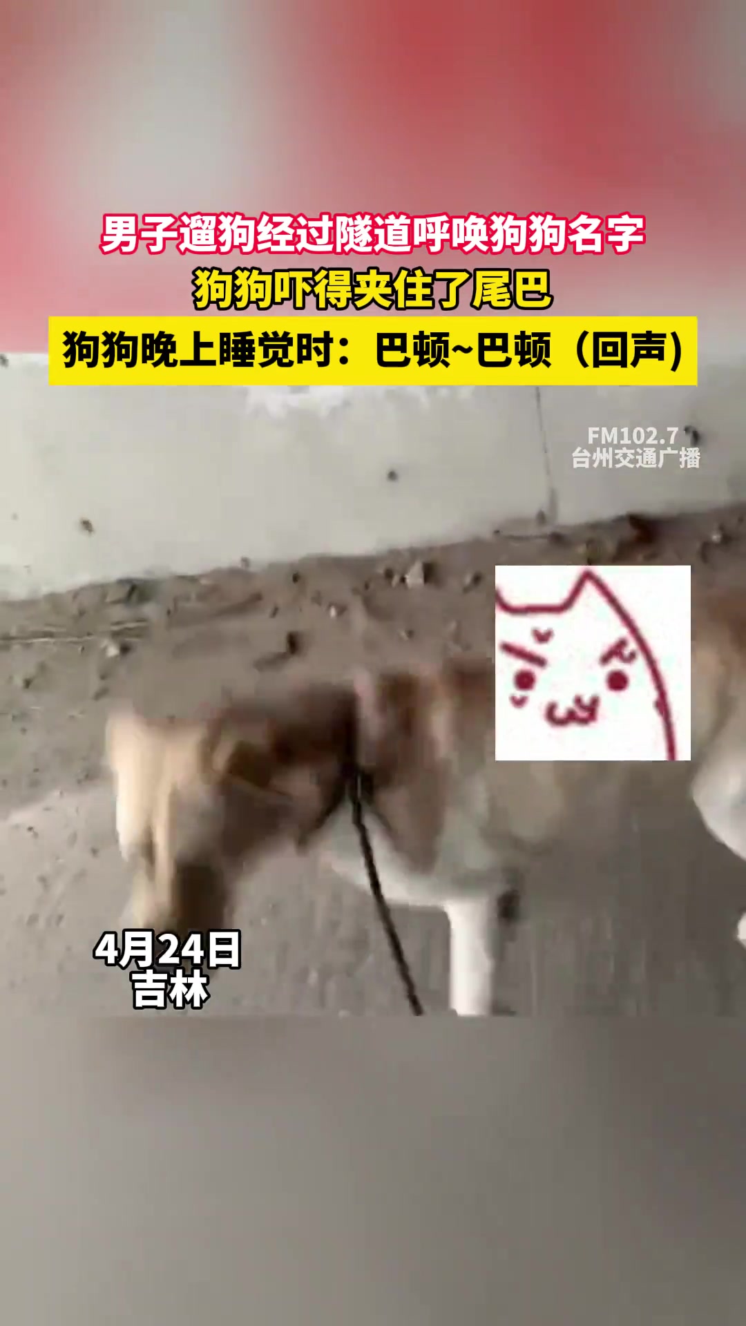男子遛狗经过隧道呼唤狗狗名字，瞧给狗吓的