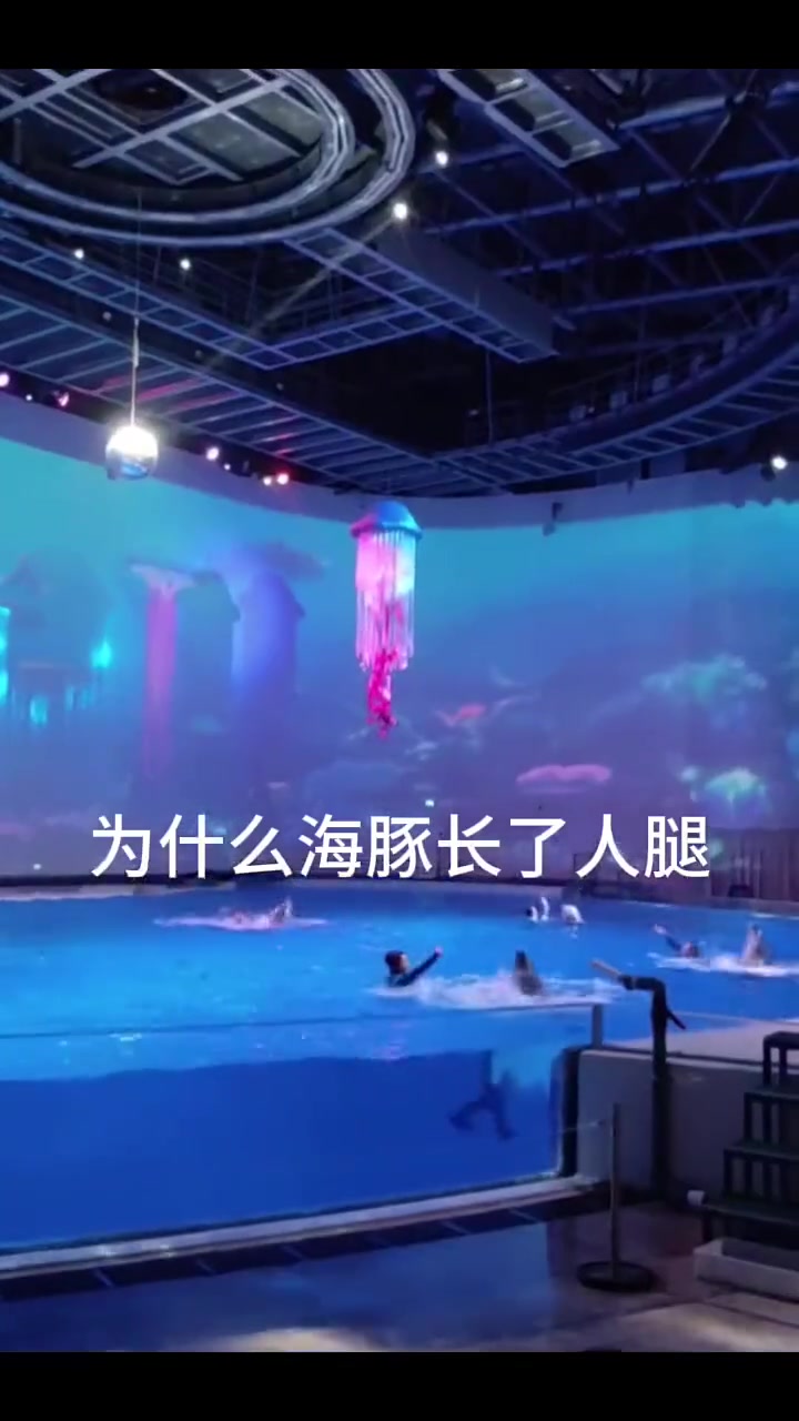 错觉吗？怎么它有两条腿！