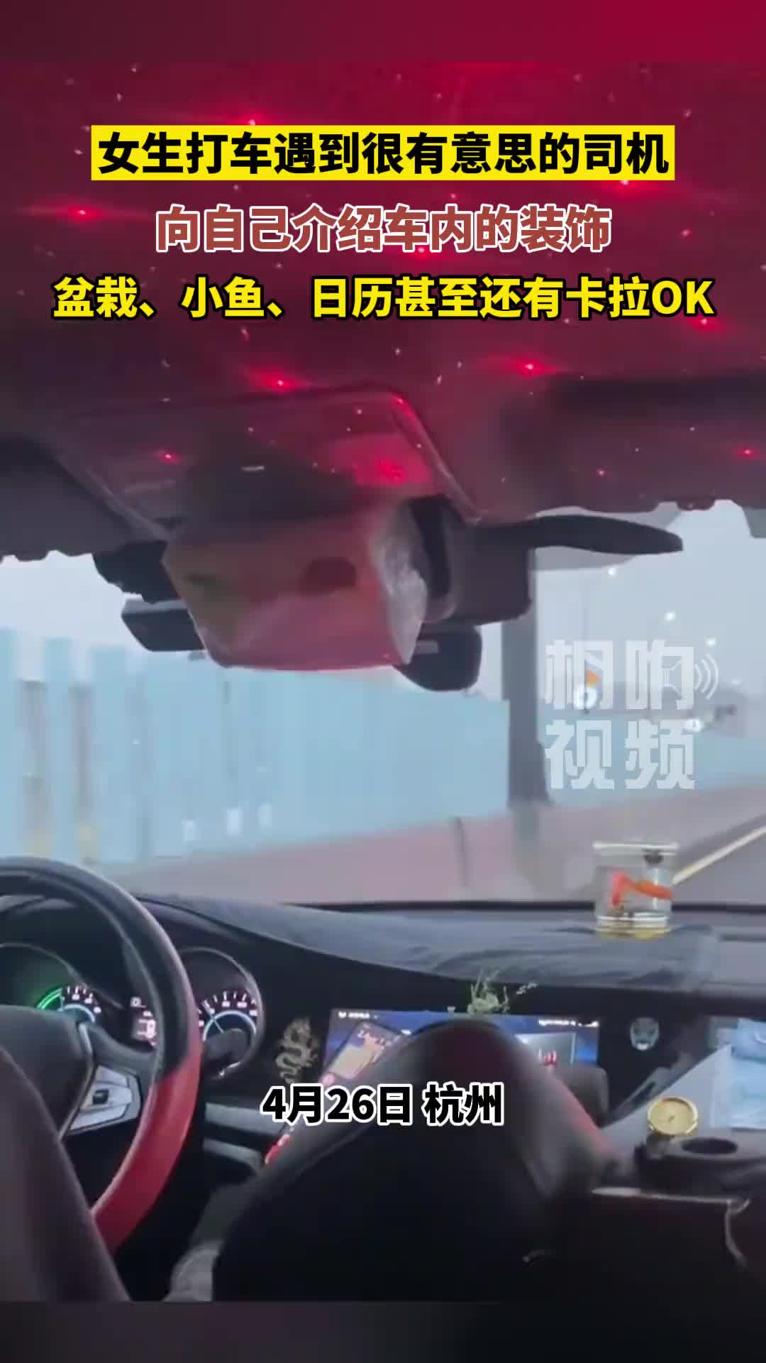 皮带扣等气囊炸了的时候就是男人的伤口