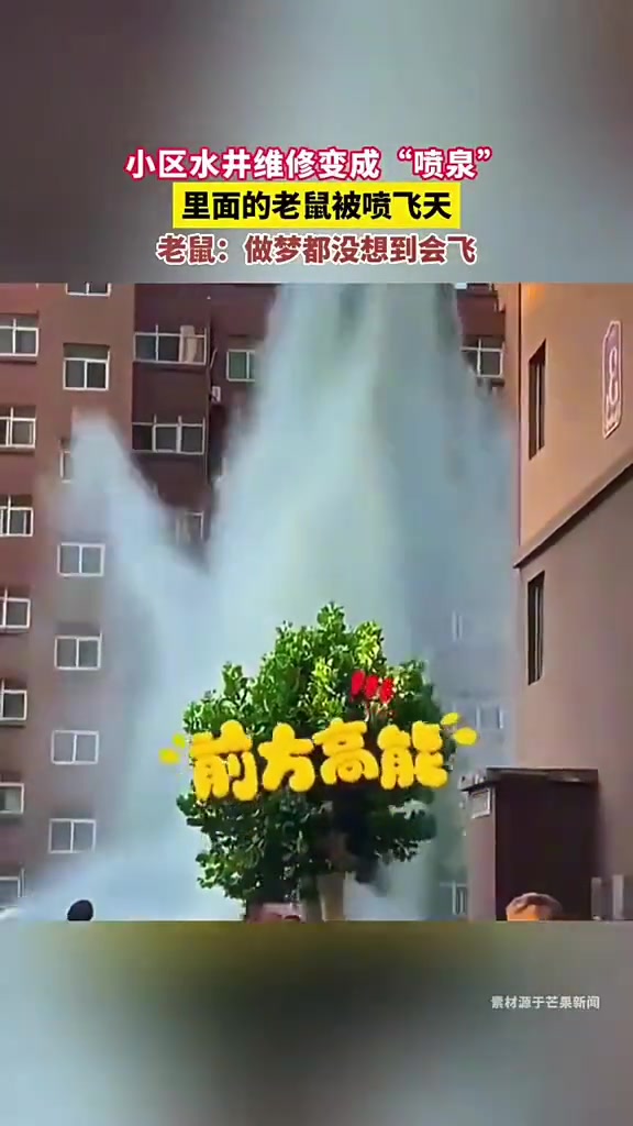 鼠：今天的抄家有点太突然了!