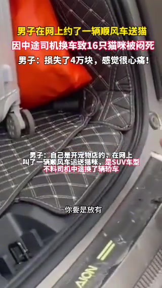 男子顺风车送猫，因中途司机换车致16只猫咪被闷死！