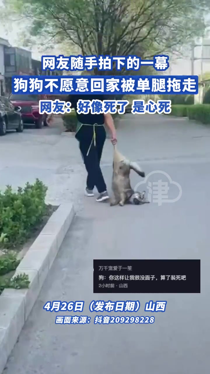 狗狗不愿意回家被单腿拖走