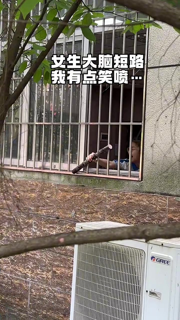狗界难题人类版