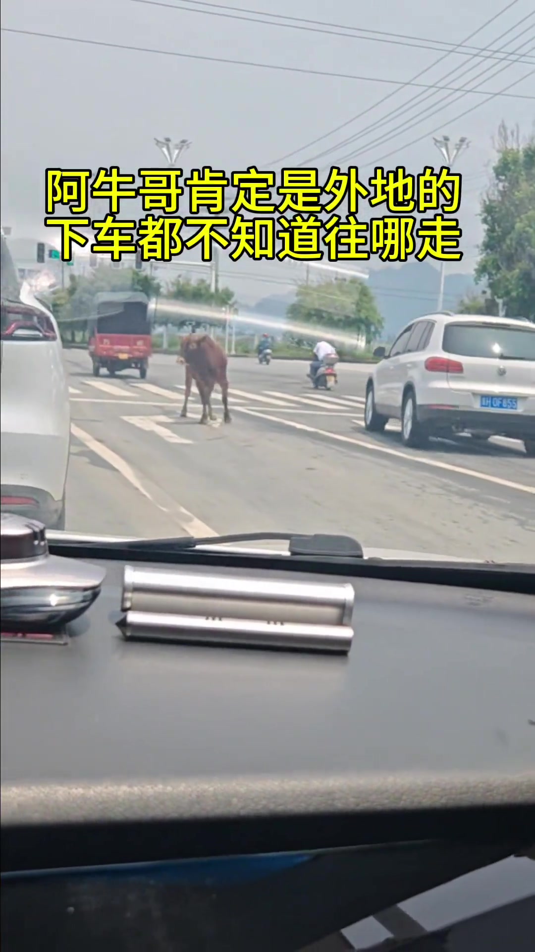 阿牛哥肯定是外地的 找不到路了