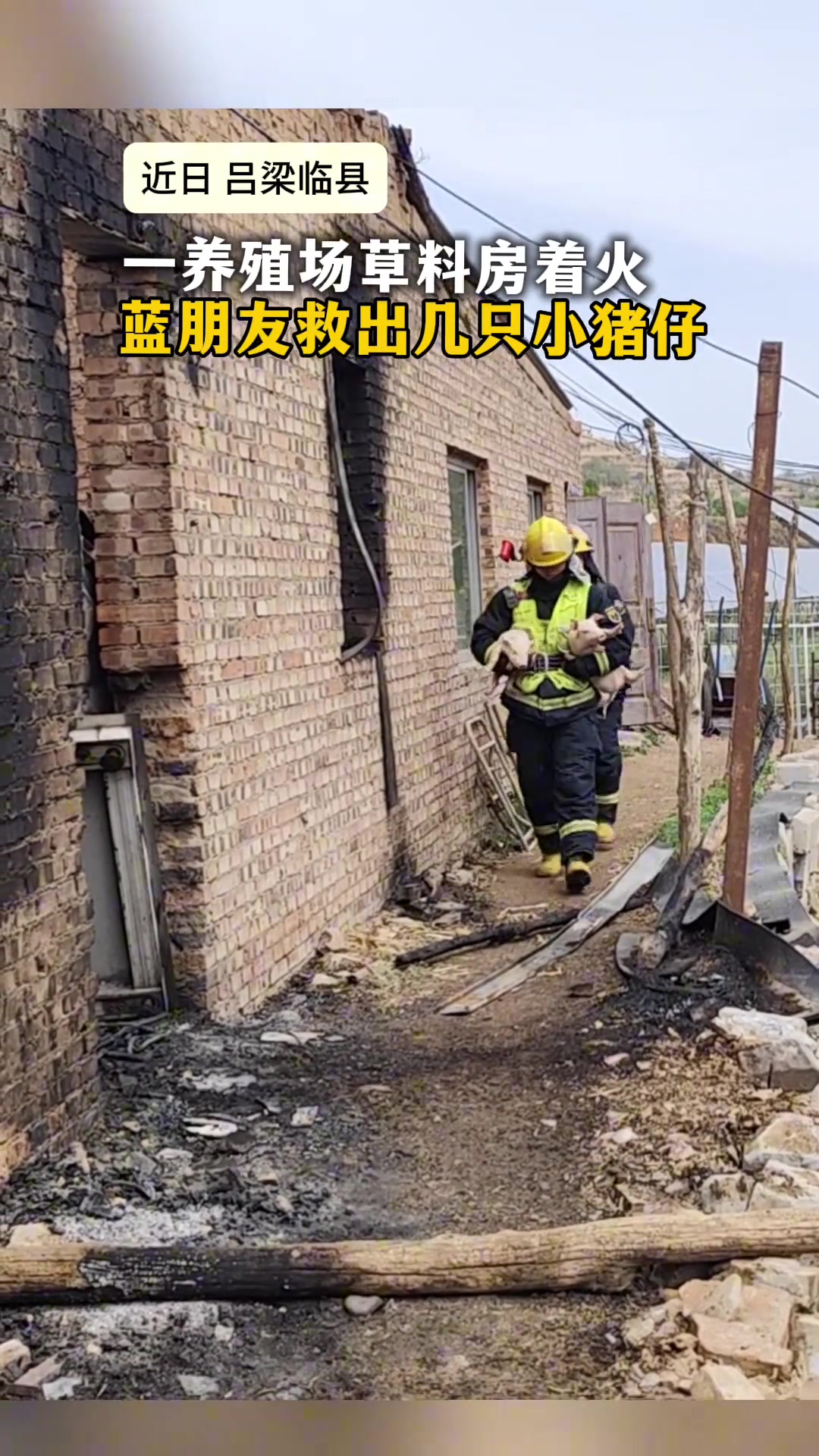 差点成烤乳猪了