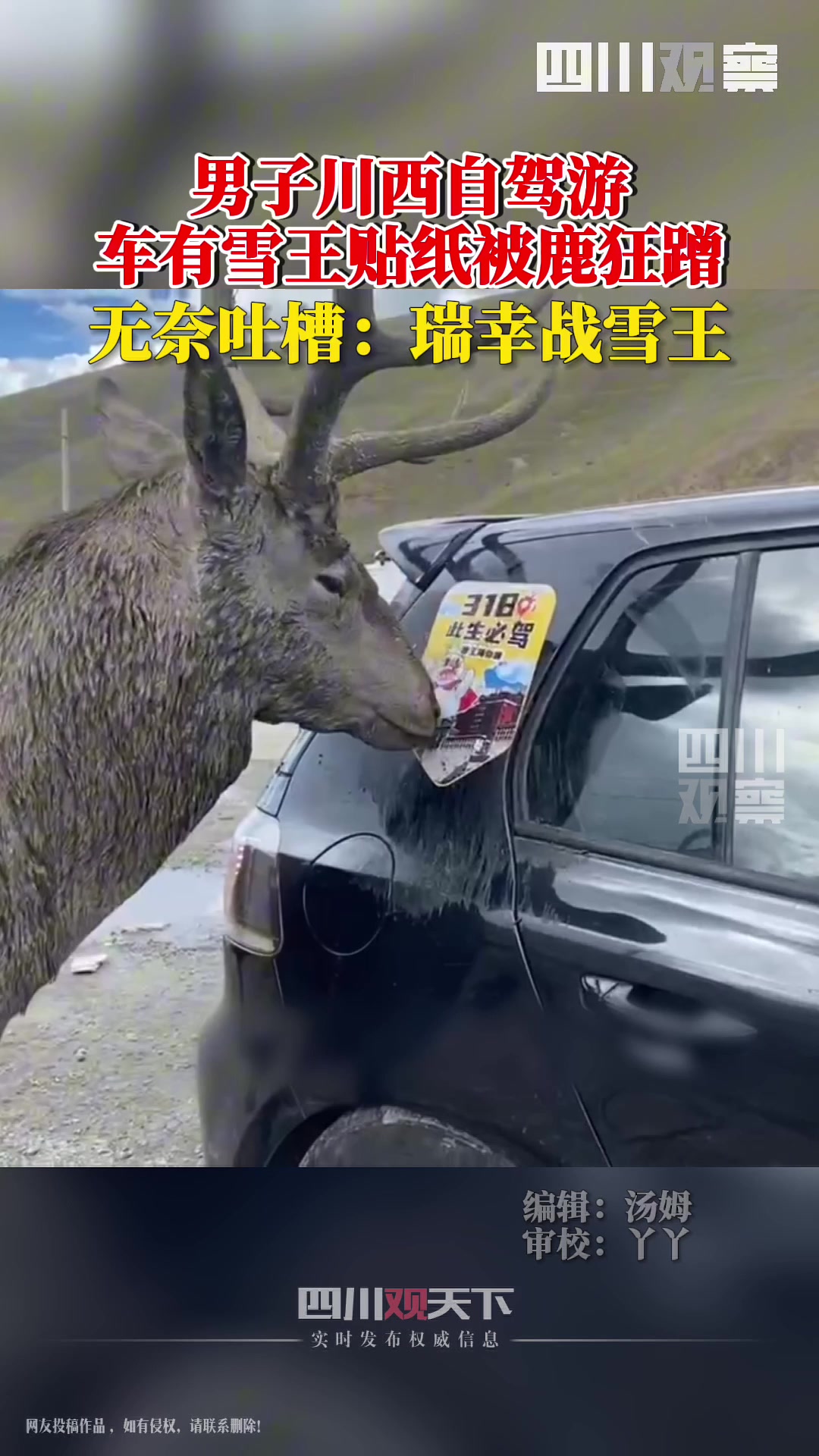 瑞幸大战蜜雪冰城