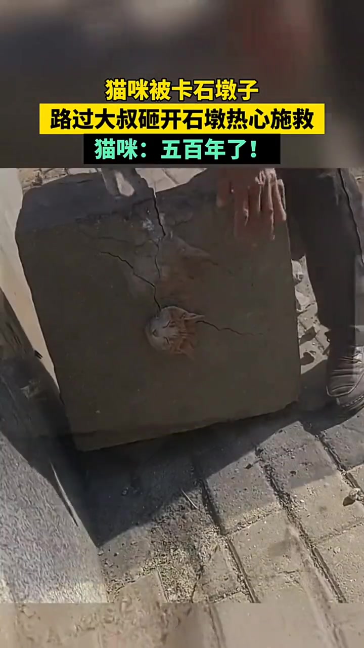 被困五百年了