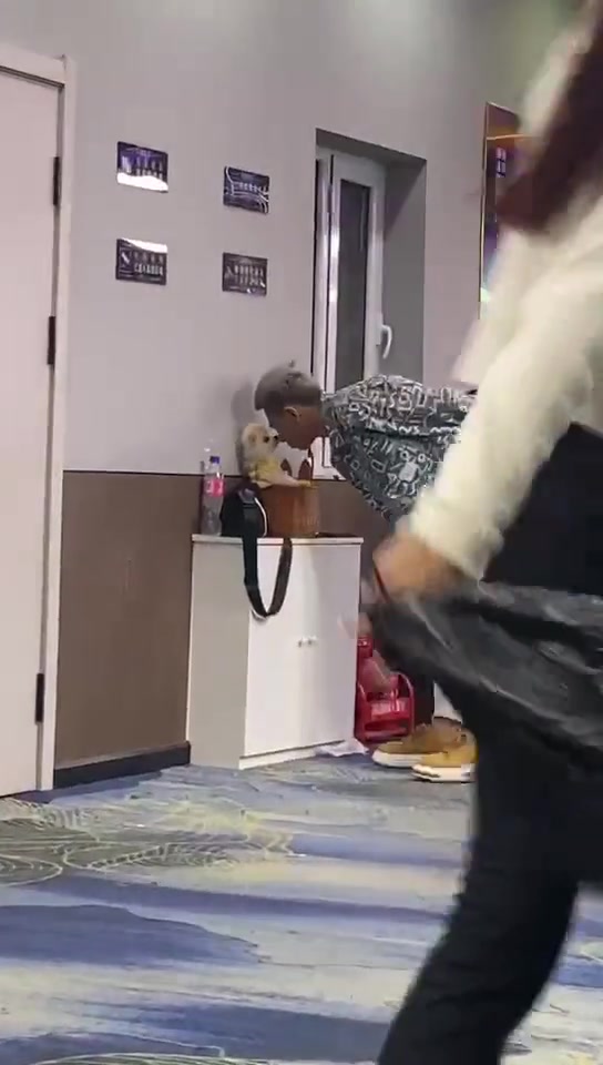 狗：我妈不让我跟小黄毛玩