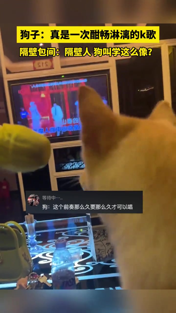 隔壁包间： 怎么旁边屋里唱歌跟狗叫似的