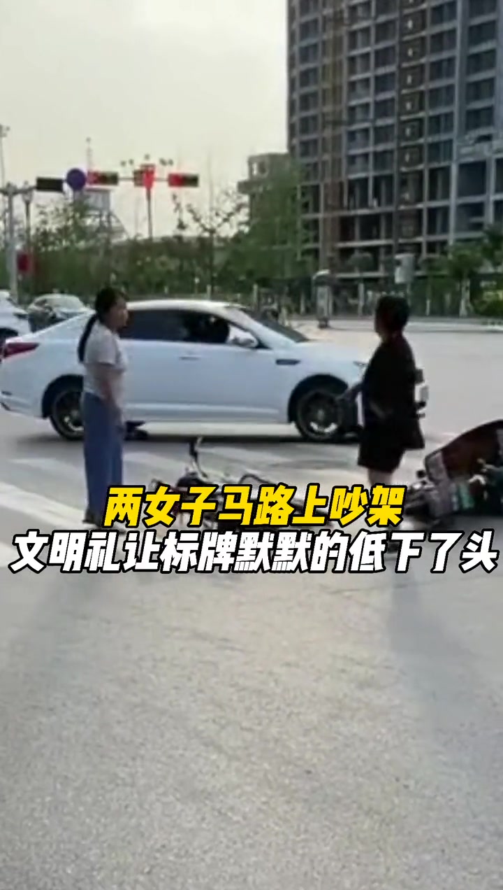 两女子马路上吵架 文明礼让标牌默默的低下了头
