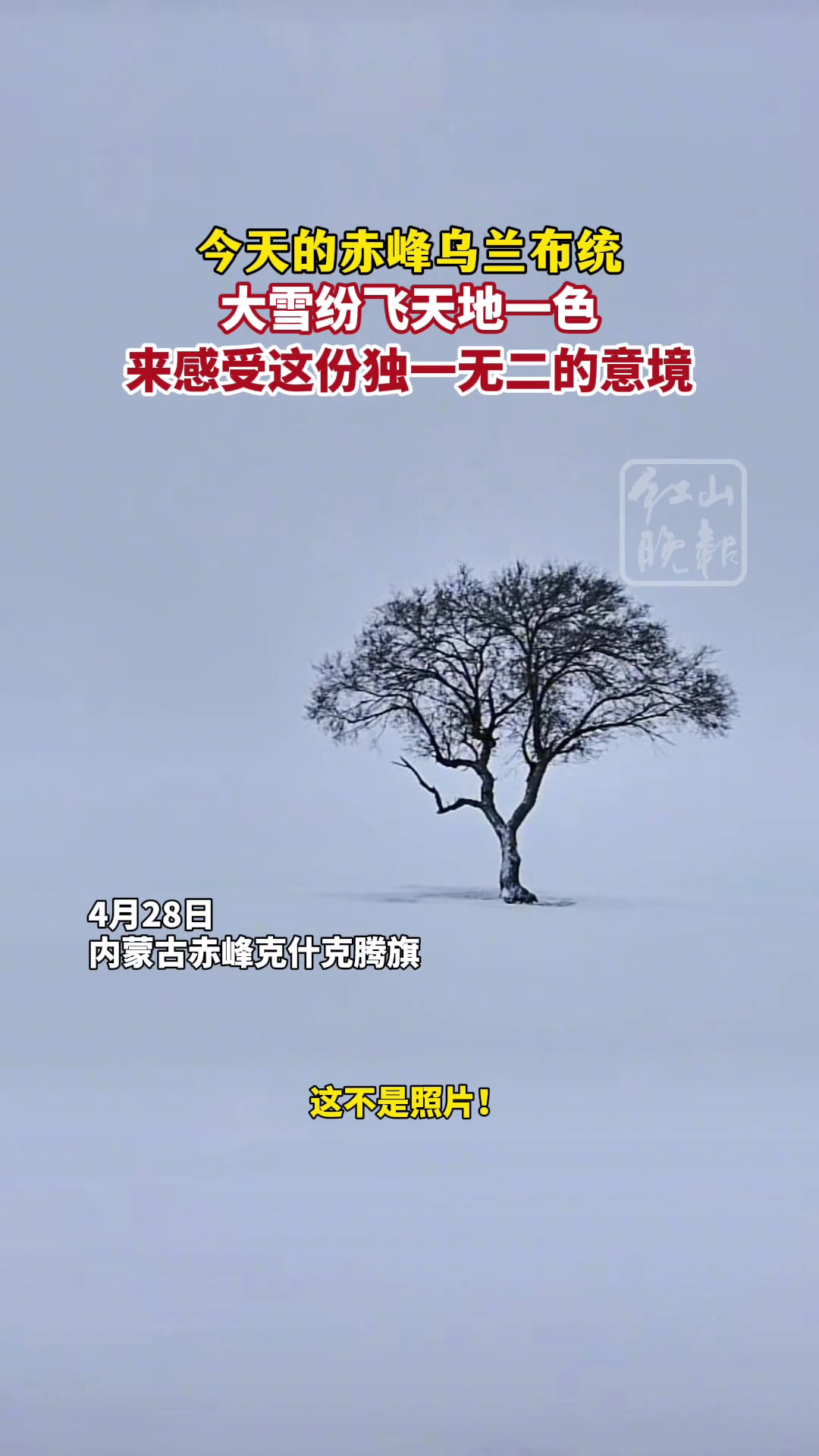 大雪纷飞天地一色，来感受一下这份独一无二的意境！