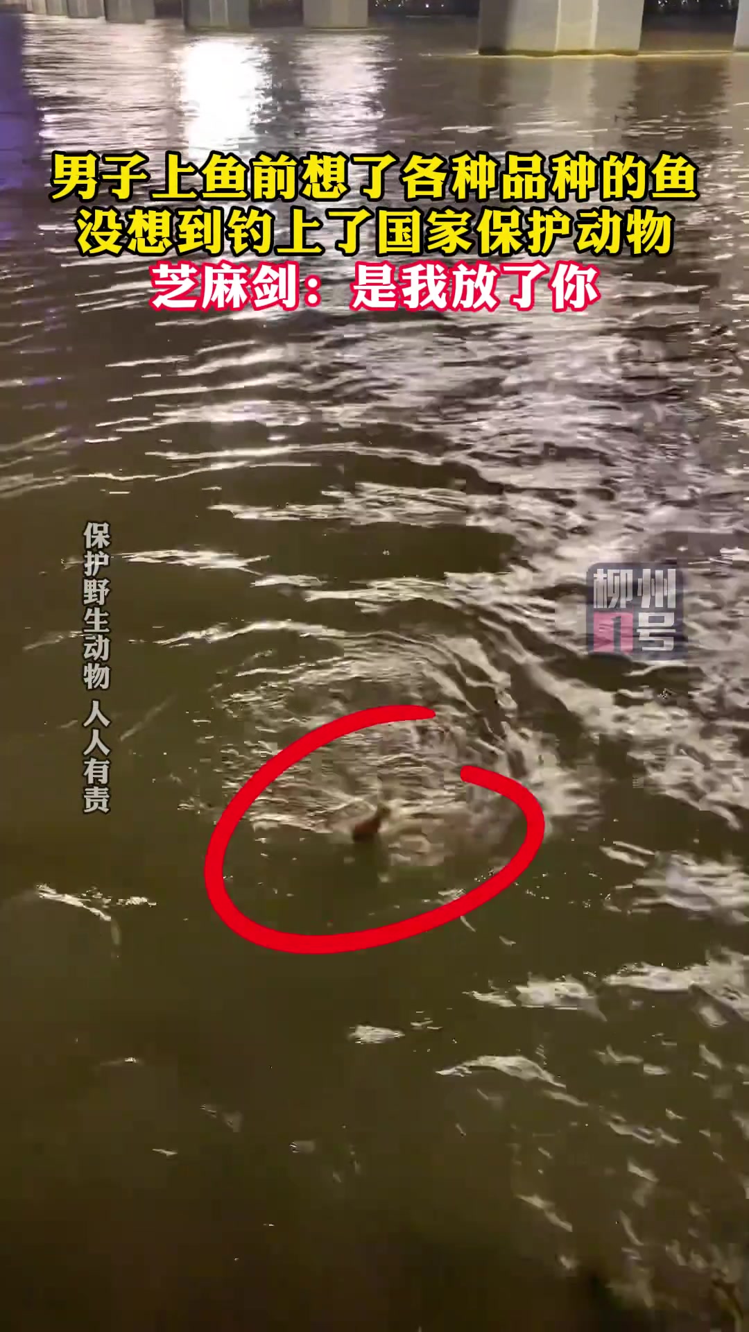 有人芝麻剑，没人锅里见
