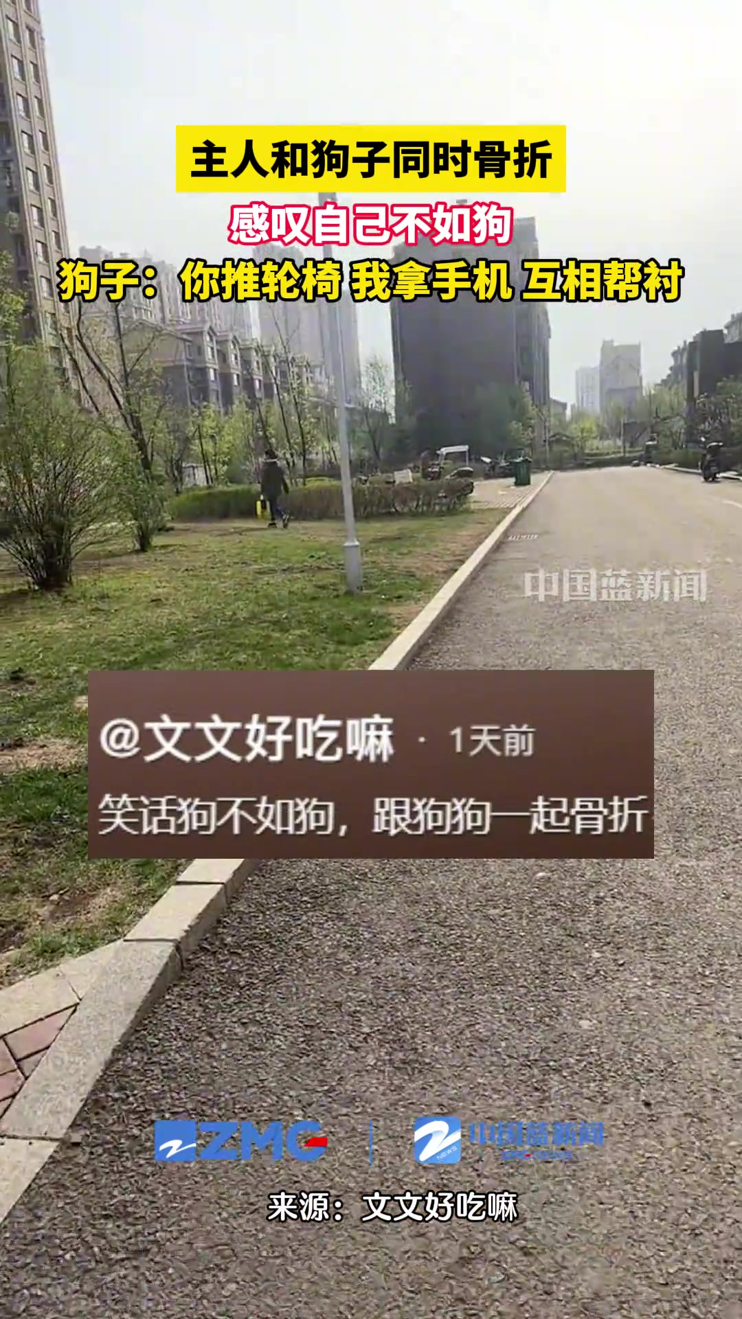 我想知道是先去的医院，还是宠物医院