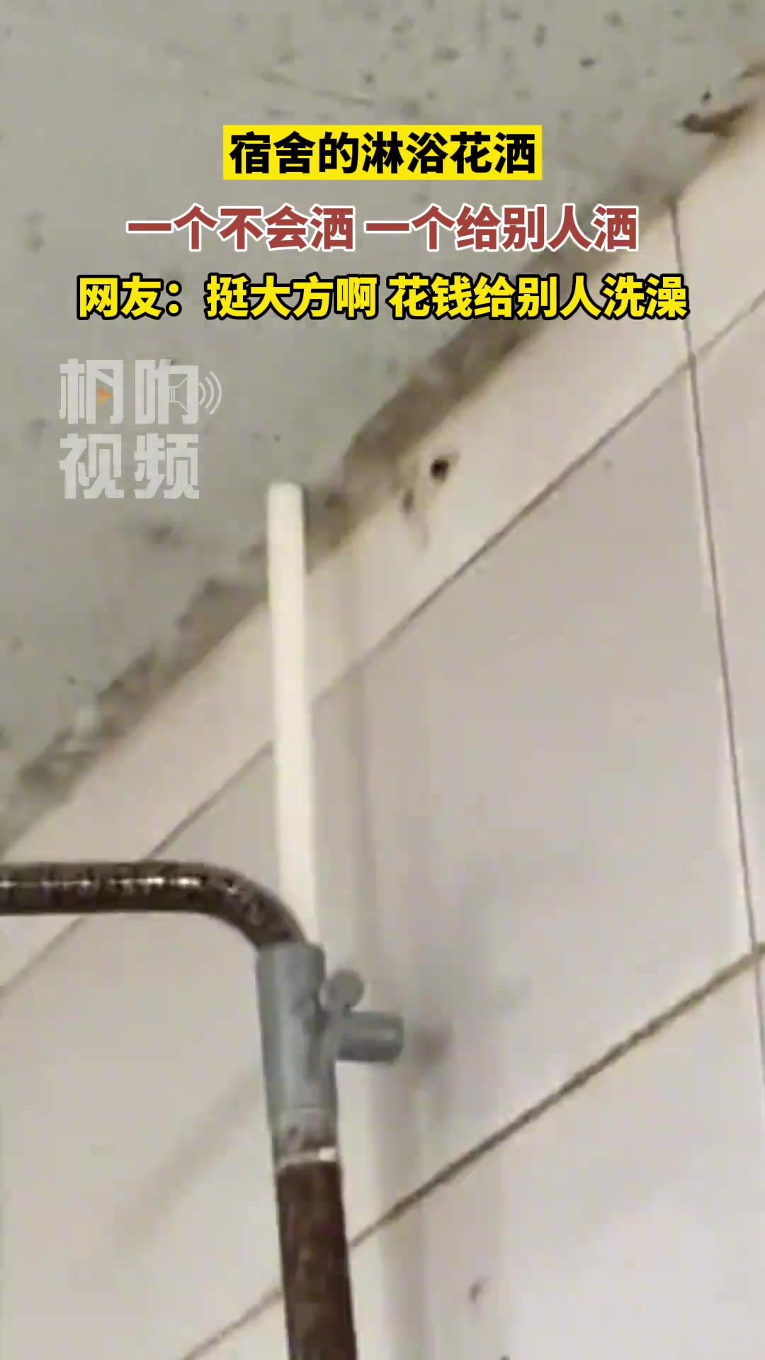 宿舍的淋浴花洒，一个不会洒，一个给别人洒