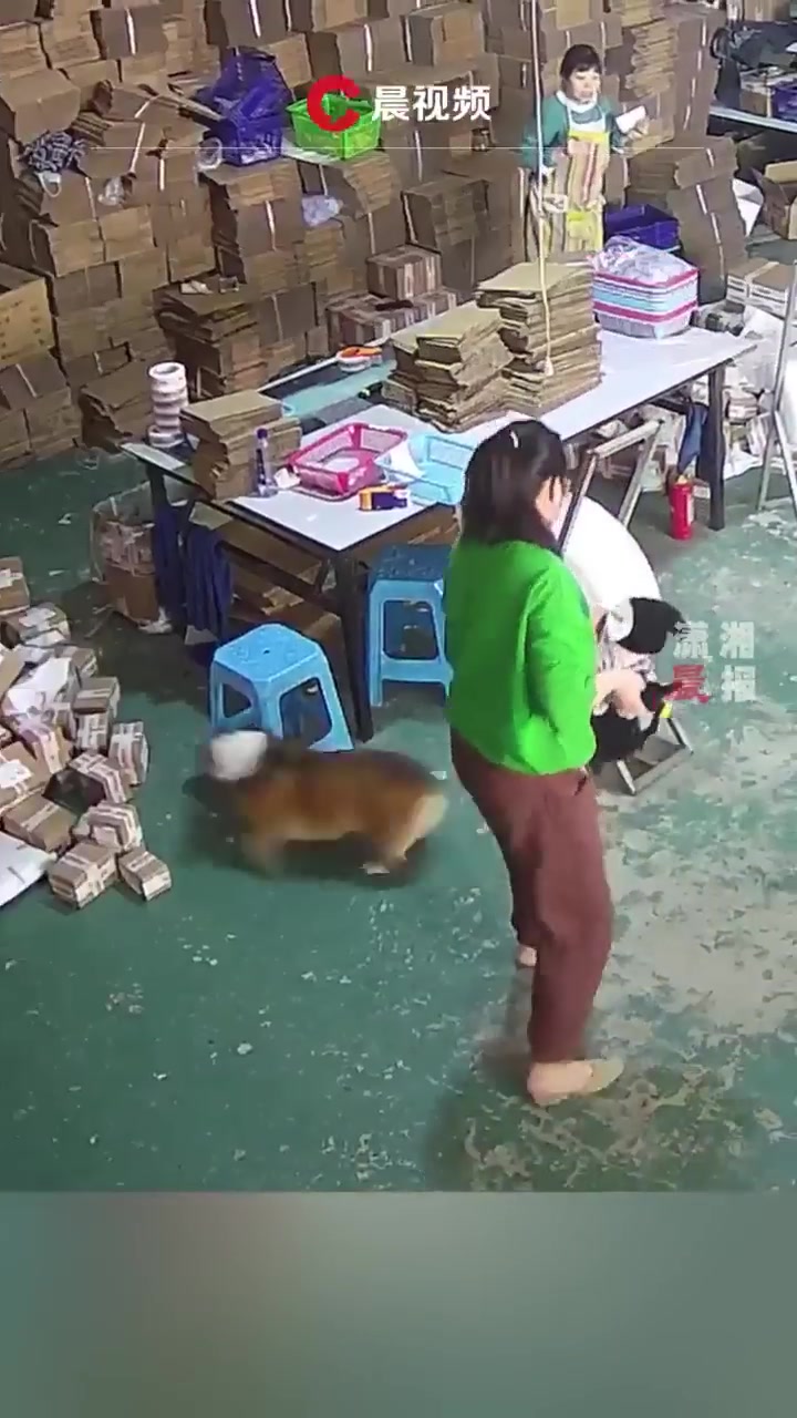 这大哥能处！有架它是真打！