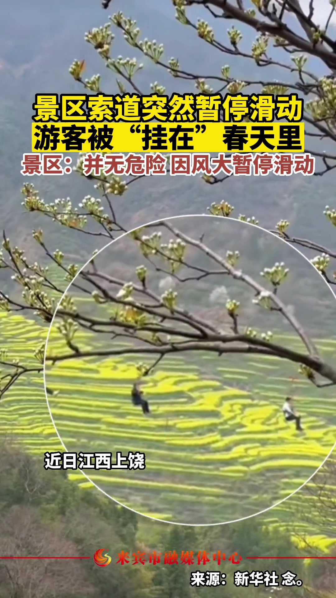 惊！景区索道突然暂停滑动 游客被“挂在”春天里