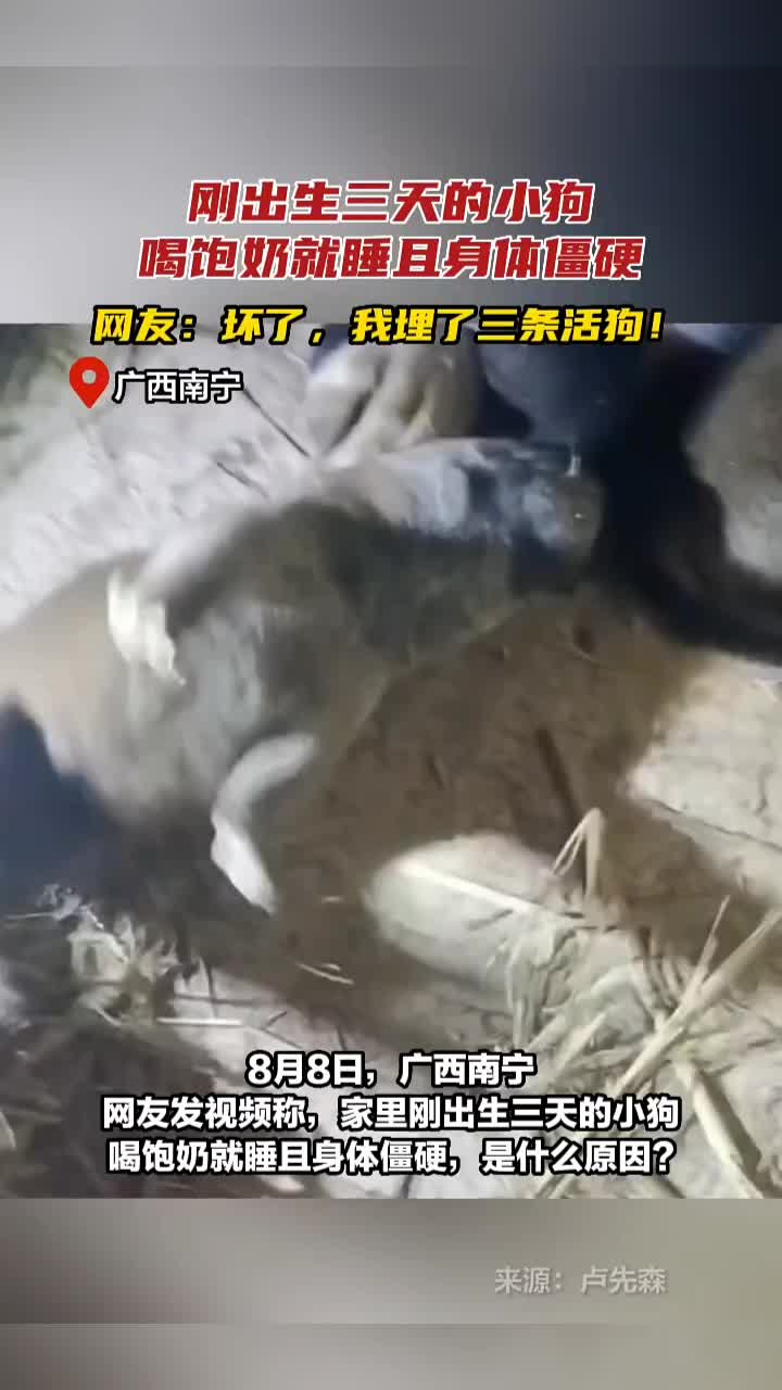 这真的不是似了吗？